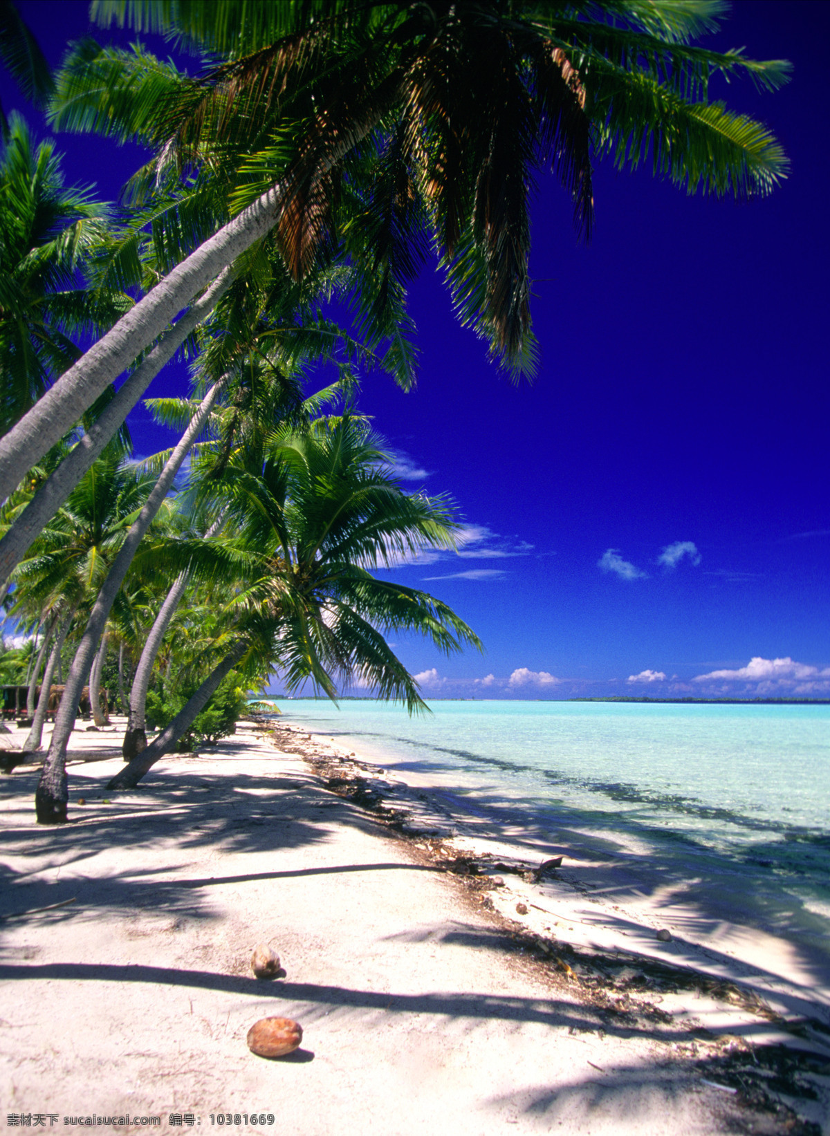 太平洋 海边 风景 美丽海滩 海边风景 沙滩 海滩 海平面 大海 海洋 椰子 椰树 海景 景色 美景 摄影图 高清图片 海洋海边 自然景观 黑色