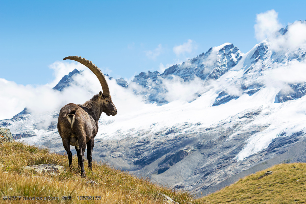 瑞士高山 唯美 风景 风光 旅行 自然 欧洲 瑞士 高山 山 旅游摄影 国外旅游