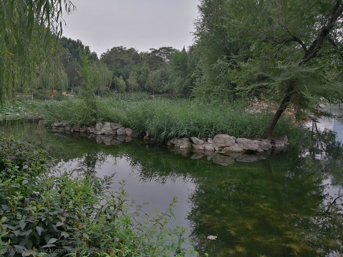 公園 風(fēng)景 池塘 綠色樹(shù) 河水 自然景觀 自然風(fēng)景