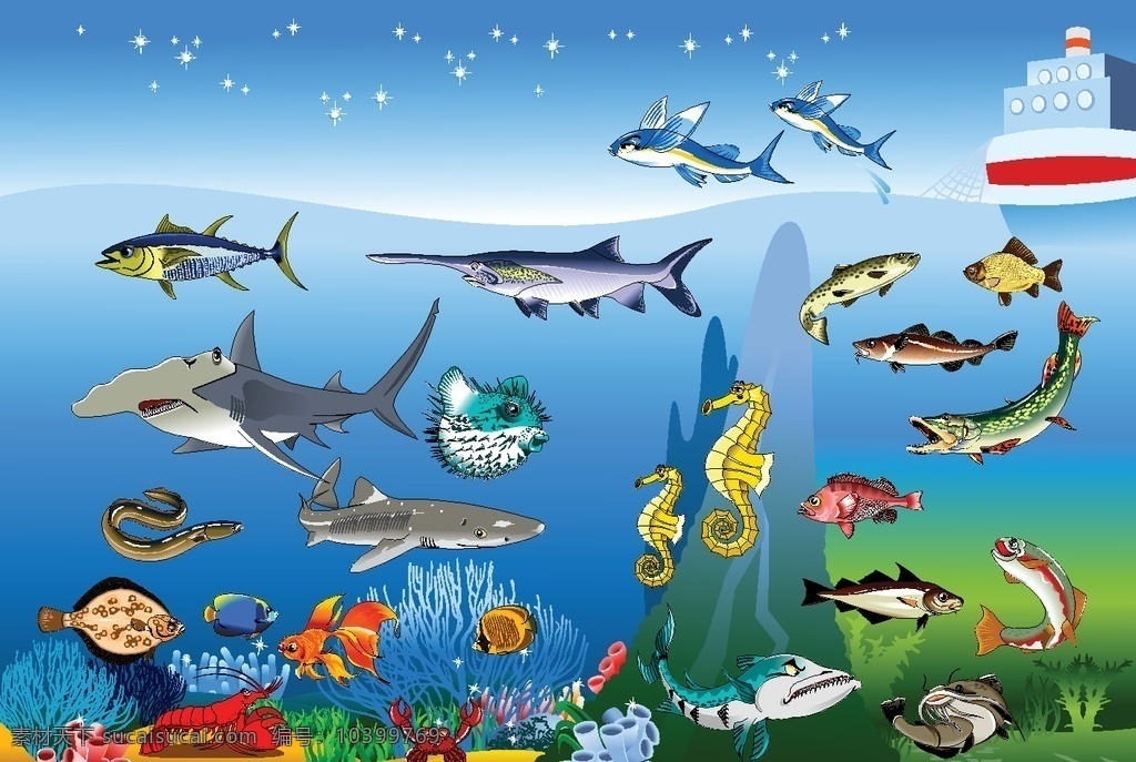 海底乐园生物 水底乐园 水草图片 水草 海马 海底生物 鱼 热带鱼 鲨鱼 海鱼 海龟