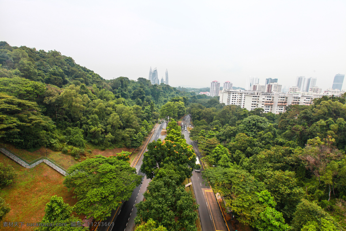 新加坡 濱海 植物園 濱海灣花園 新加坡植物園 濱海植物園 植物 花園城市 現(xiàn)代城市 新加坡風(fēng)光 新加坡建筑 新加坡風(fēng)景 新加坡風(fēng)情 新加坡景色 新加坡特色 新加坡之旅 旅游攝影 國外旅游