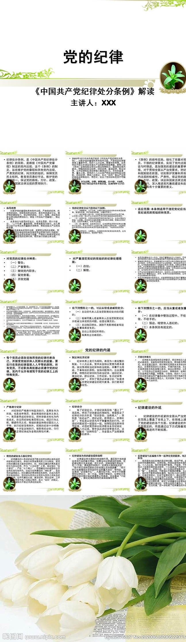 党课 党 纪律 处分 条例 解读 党员教育 党的纪律 党性修养 主题教育 课件 七一 纪律处分条例 纪律处罚条例 多媒体 政府党建