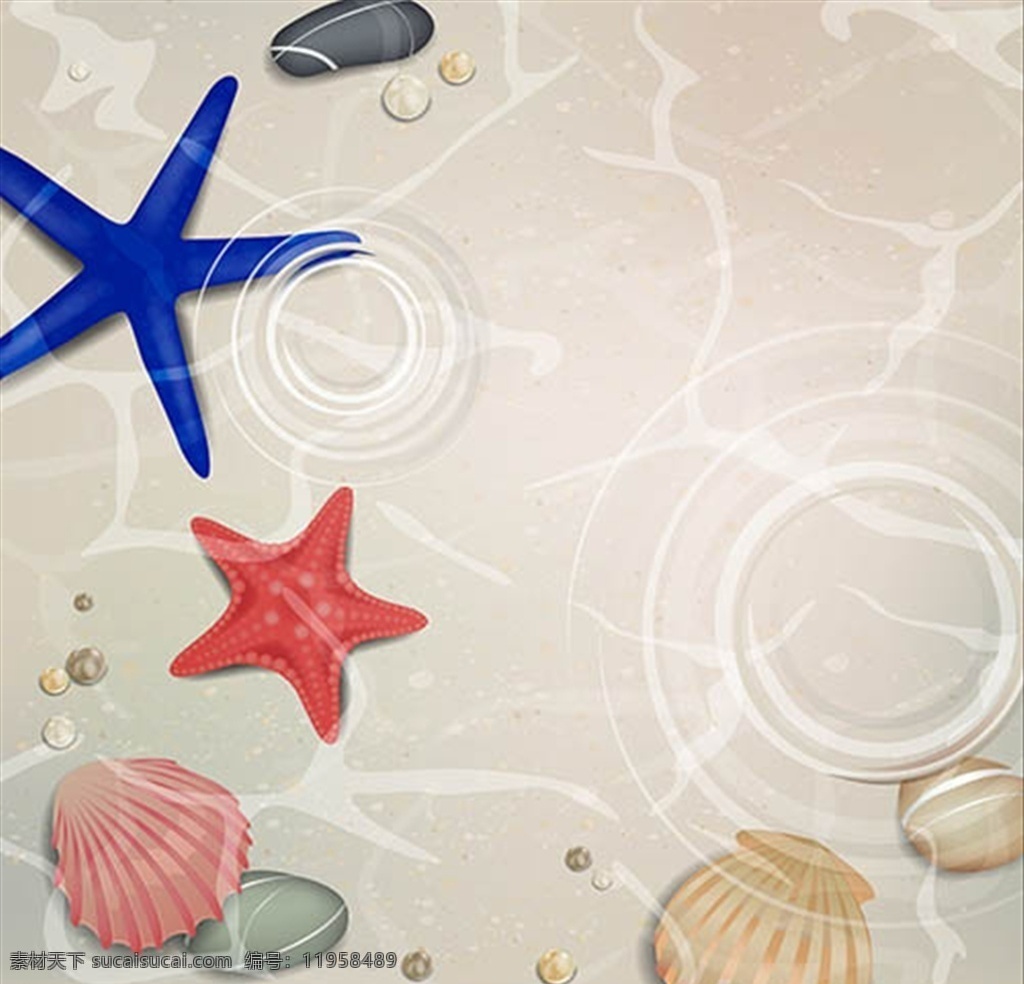 夏日 沙滩 上 贝壳 海星 波纹 生物世界 海洋生物