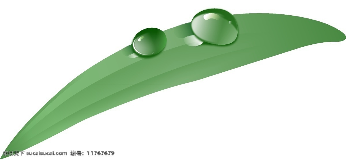 白露 小 清新 绿叶 露珠 矢量 元素 露水 水滴 二十四节气 粘露珠的绿植