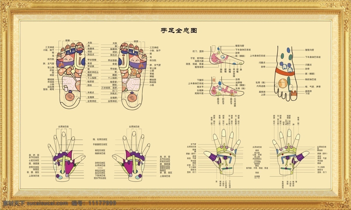 足 部 反射 區(qū) 高清 掛圖 全息 手足 足部反射區(qū) 手足全息 相框 足療 養(yǎng)生 中醫(yī) 按摩 推拿 中國 風 傳統(tǒng)文化 分層