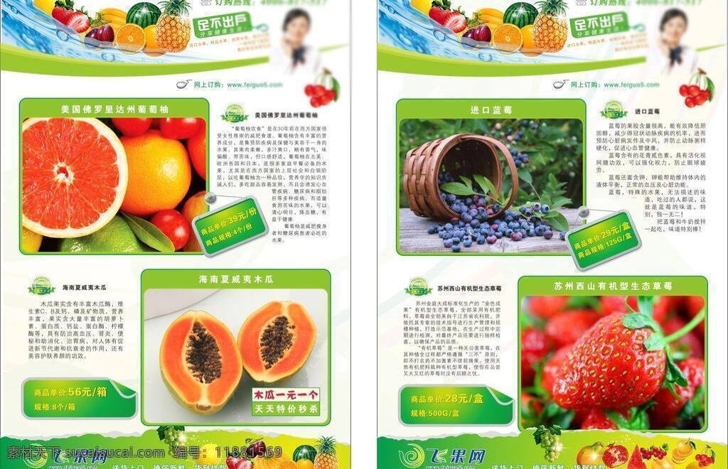dm dm宣傳單 草莓 海南 藍莓 木瓜 青島 水果 網(wǎng)站 宣傳單 矢量 模板下載 訂購 網(wǎng)上 送貨 葡萄柚 西柚 蘇州 西山 矢量圖 日常生活