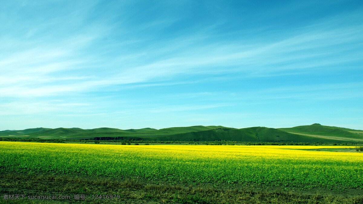 風(fēng)景 綠草 天空 源文件庫 油菜花 油菜花田 山峰 自然景觀 風(fēng)景名勝 攝影圖庫 自然風(fēng)光 田園風(fēng)光