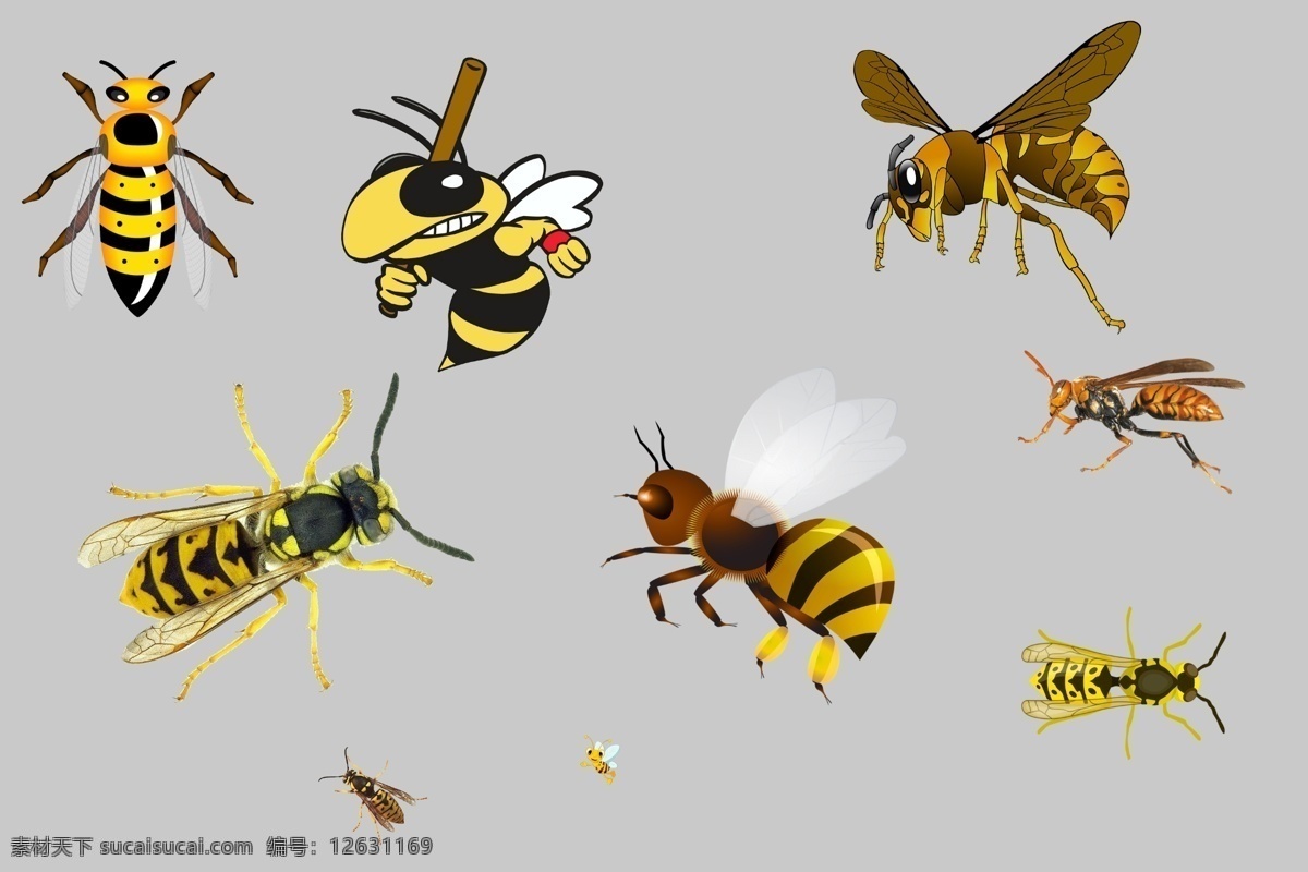 大黄蜂 png素材 透明素材 大马蜂 人头蜂 蜜蜂 毒蜂 动物 昆虫 飞行 翅膀 卡通黄蜂 黄蜂素材 非 原创 透明 合 辑 分层