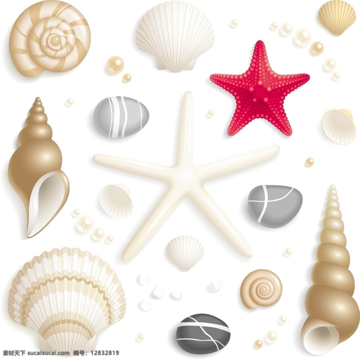 卡通矢量贝壳 贝壳 卡通 海螺 海星 海马 珍珠 钉螺 鹅卵石 海产品 动物植物矢量 生物世界 海洋生物