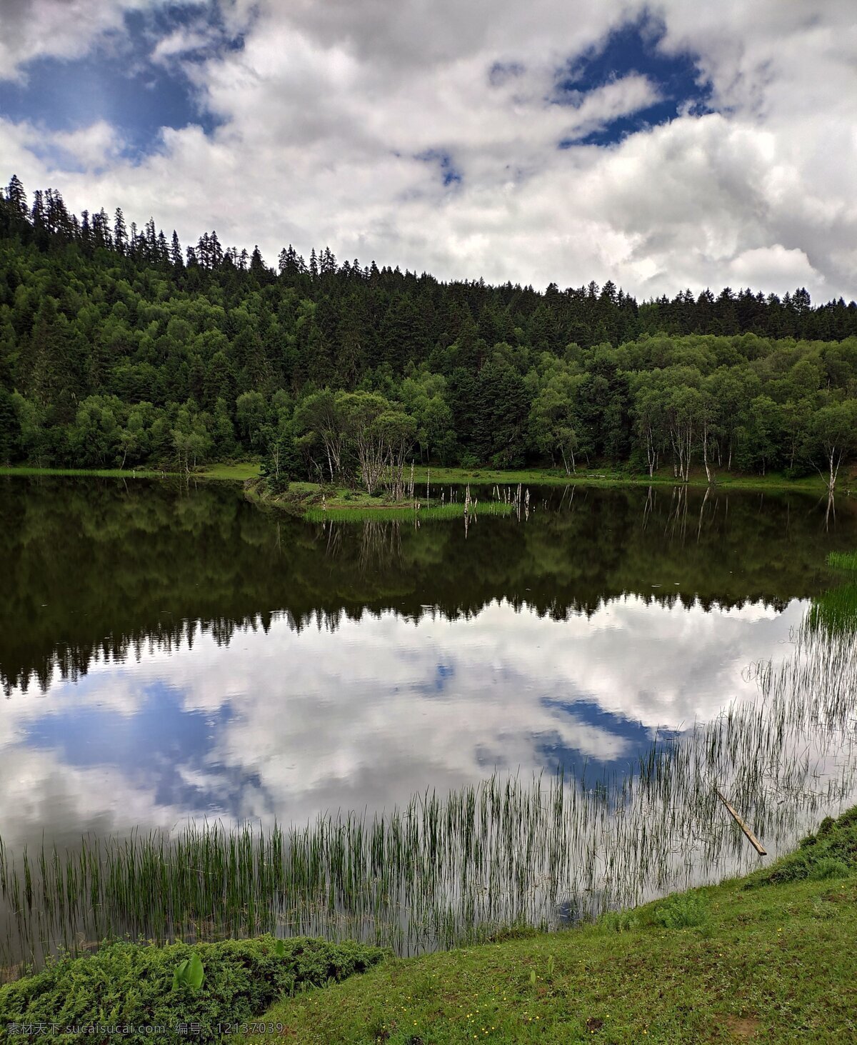水天一色 湖 天 树木 草 白云 倒影 自然风光 自然景观 自然风景