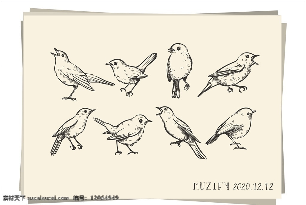 款 入 小鸟 素描画 鸟类 麻雀 家雀 写生 手绘稿 花鸟鱼虫宠 生物世界