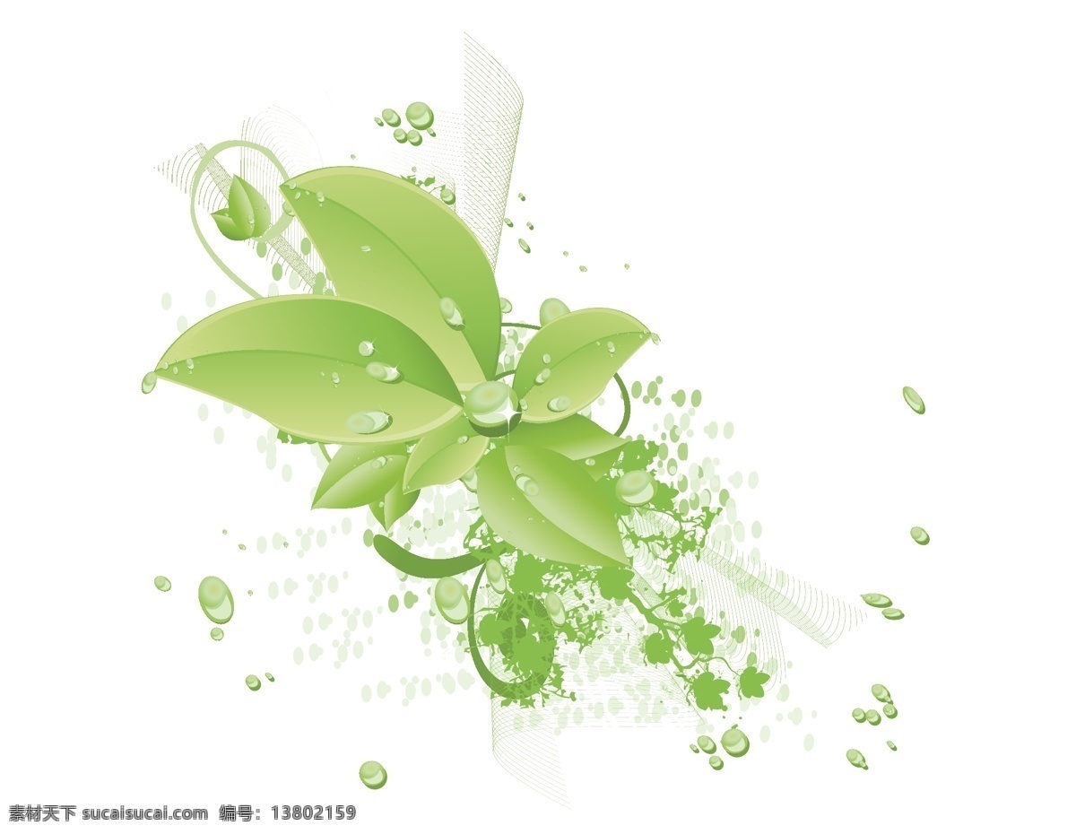 卡通 绿叶 水珠 元素 小清新 绿化 手绘 绿藤 ai元素 矢量元素