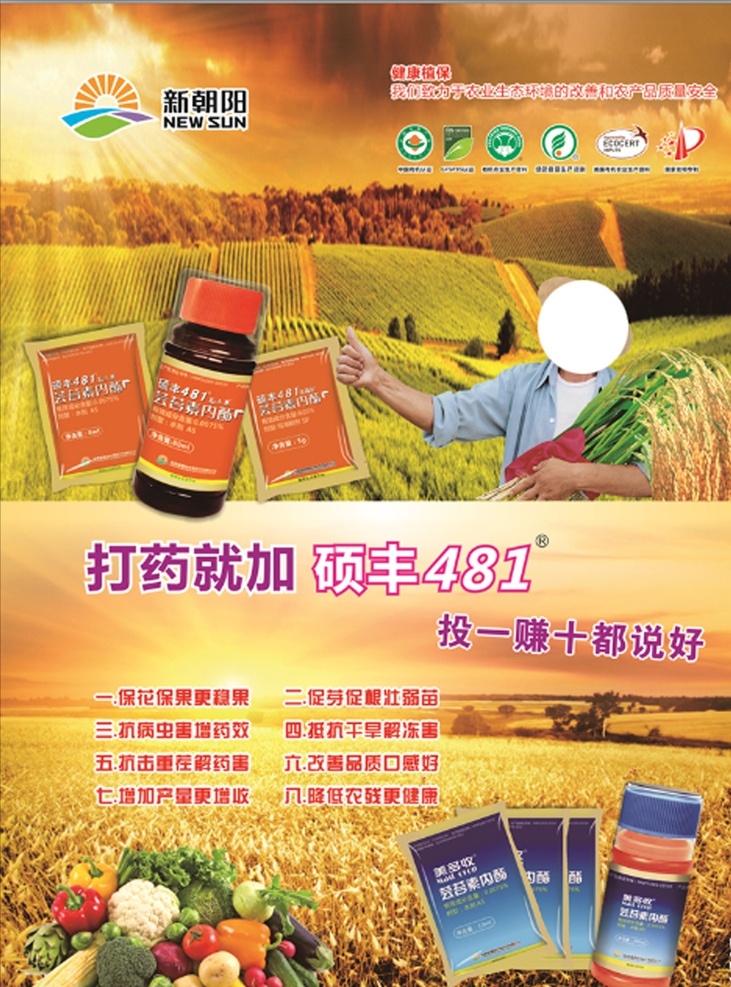 新 朝陽 宣傳 資料 新朝陽 單頁 背景圖 老人 麥田 cdr矢量圖