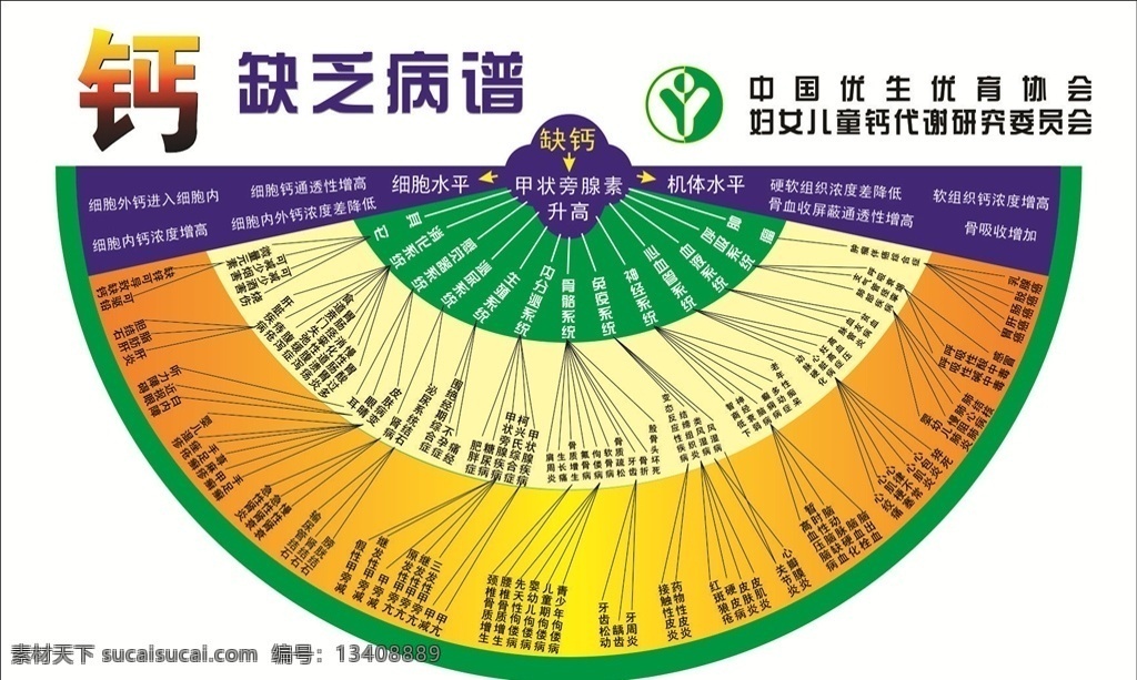 鈣缺乏病譜 鈣 鈣缺乏 癥狀 病癥 生體機(jī)能 私人 展板模板
