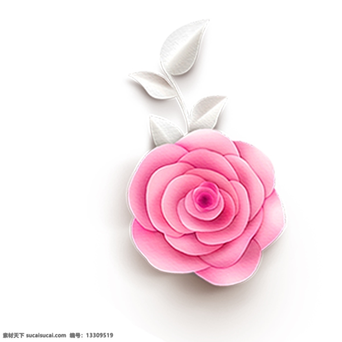 粉红色 玫瑰花 装饰 花朵 小花装饰 海报装饰