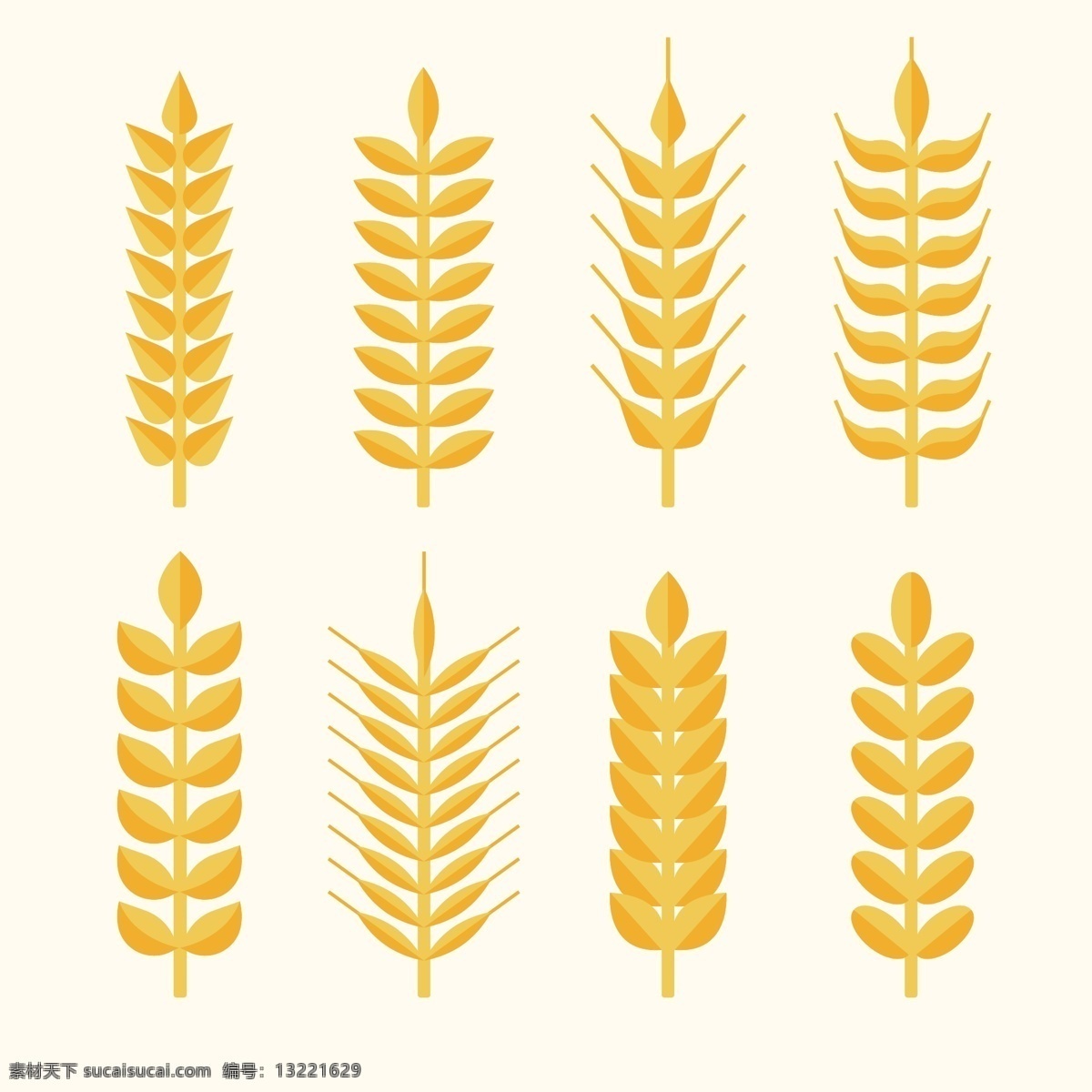 款 金色 小麦 合集 麦穗 农业 简约 丰收 金色麦穗 粮食 小麦合集 小麦矢量图 麦子 平面设计 农作物 艺术插画 小麦插画 小麦图标 谷物 设计元素 五谷