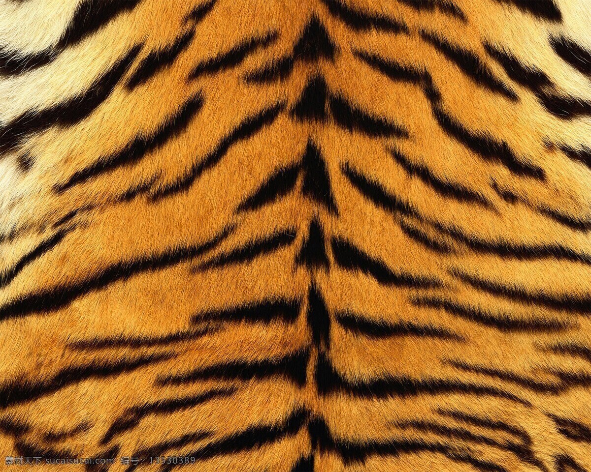 虎 纹 动物 填充 纹理 背景 虎纹 设计素材 背景素材