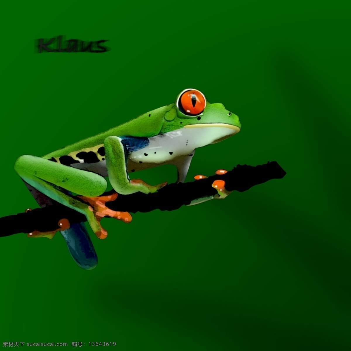 鼠绘树蛙 树蛙 热带雨林 动物 绿色动物 青蛙 psd源文件 分层 源文件