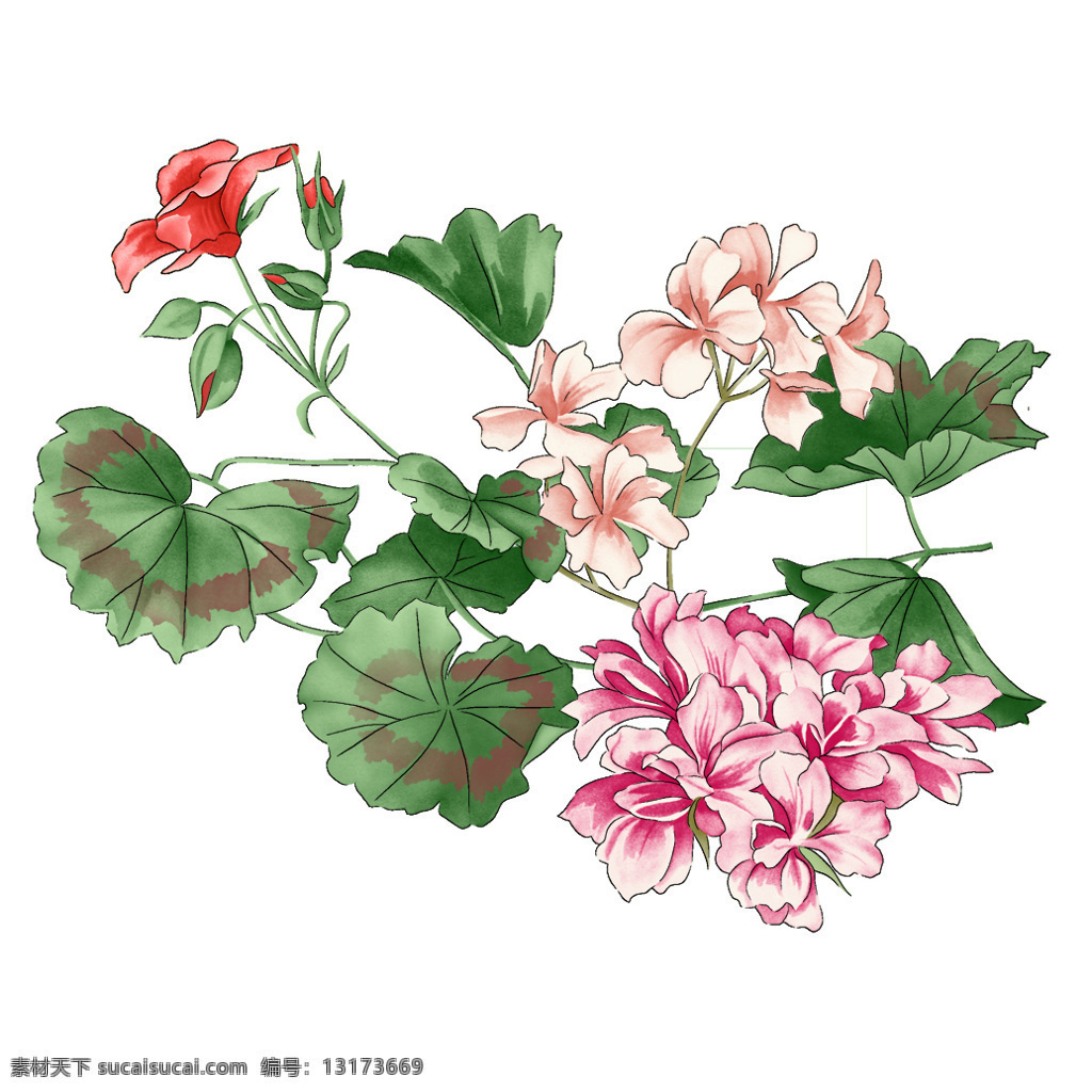 位圖免費下載 服裝圖案 花 位圖 優(yōu)雅植物 毛衫印花 成熟優(yōu)雅女裝 面料圖庫 服裝設(shè)計 圖案花型