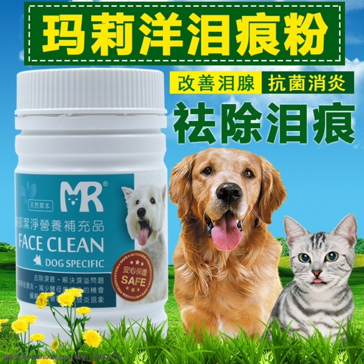 淘寶主圖 直通車(chē) 寵物用品 春色氣息 綠色