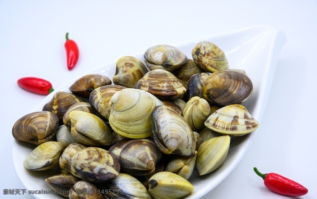 蛤蜊 静物 概念 食品 东方 中国 新鲜 特写 海鲜 贝壳 饮食 美味 形状 白色背景 无人 东亚 彩色图片 水平构图 亚洲 饮食产业 健康食物 海产 甲壳动物 有机食品 食物状态 营养 美食 饮食文化 健康食品 少量物体 海蛤 图片视觉效果 生食 膳食 组物体 影棚拍摄 户内 主题 贝类 餐饮美食 食物原料