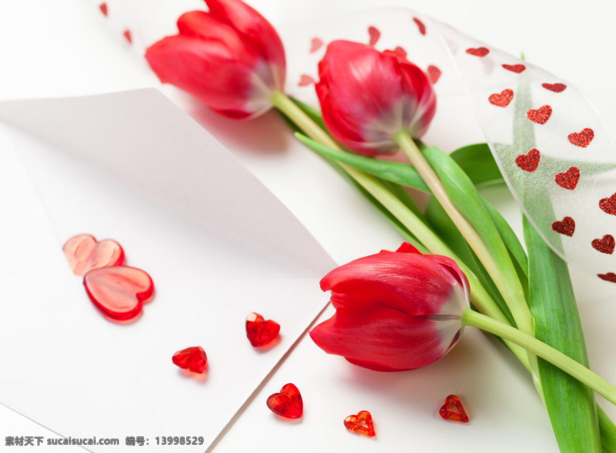 妇女节 鲜花 高清 鲜花图片下载 高清图片素材 花朵 花卉