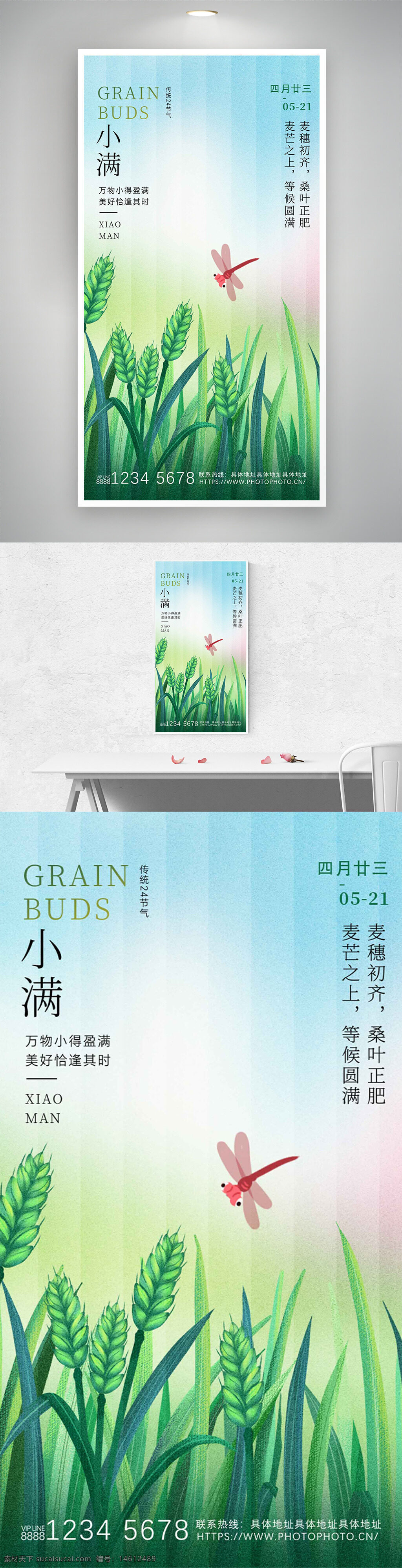 小满 传统节气 二十四节气 麦田 蝴蝶 插画风格 彩色渐变 自然风光 夏季节气 节气海报 绿色背景 田园风光 植物插画 清新设计