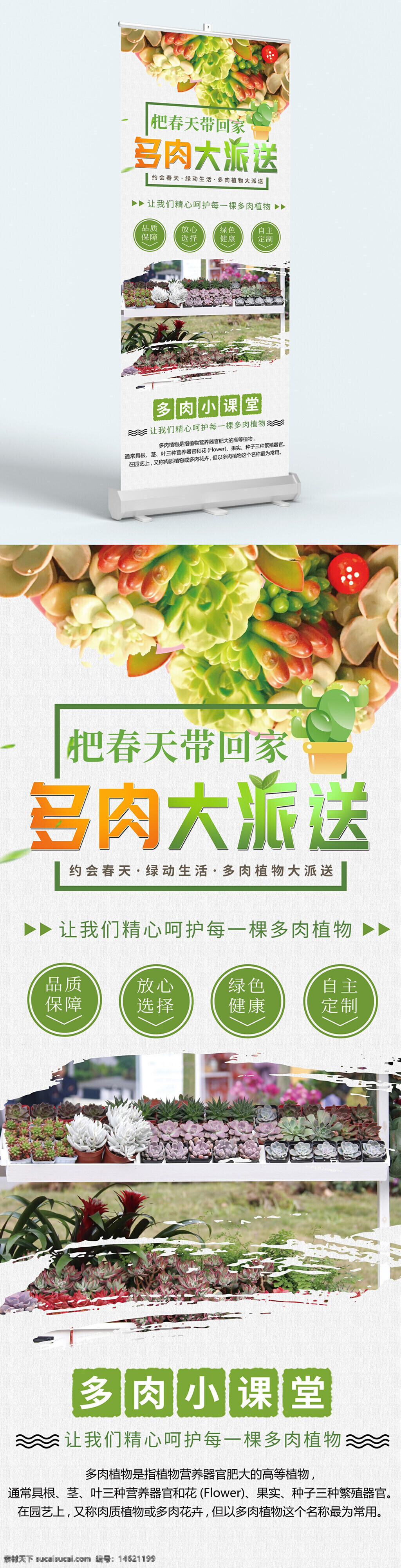 多肉植物 多肉展板 綠色生活 品質(zhì)保障 綠色健康 自主定制 多肉小課堂 植物養(yǎng)護 園藝設計 多肉花卉 植物插畫