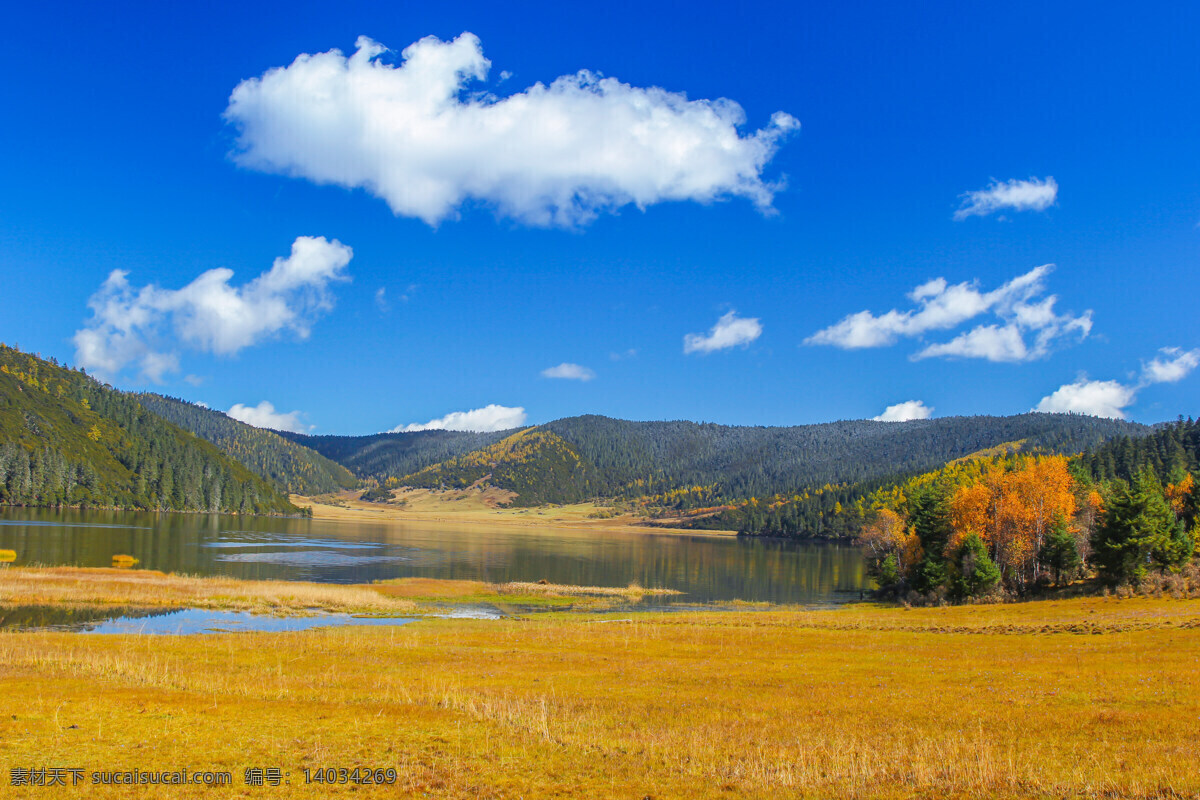 湖光山色 风景图片 秋高气爽 蓝天白云 远山 树林 山水风景 自然景观