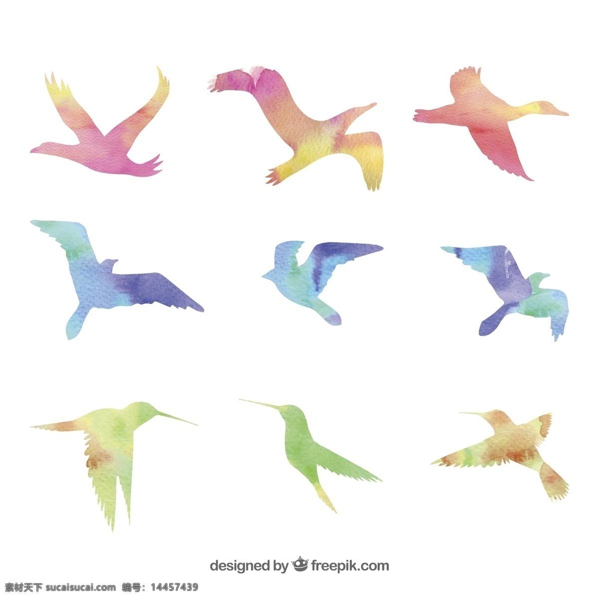 彩色 鸟类 剪影 天鹅 大雁 海鸥 鸽子 蜂鸟 矢量 高清图片