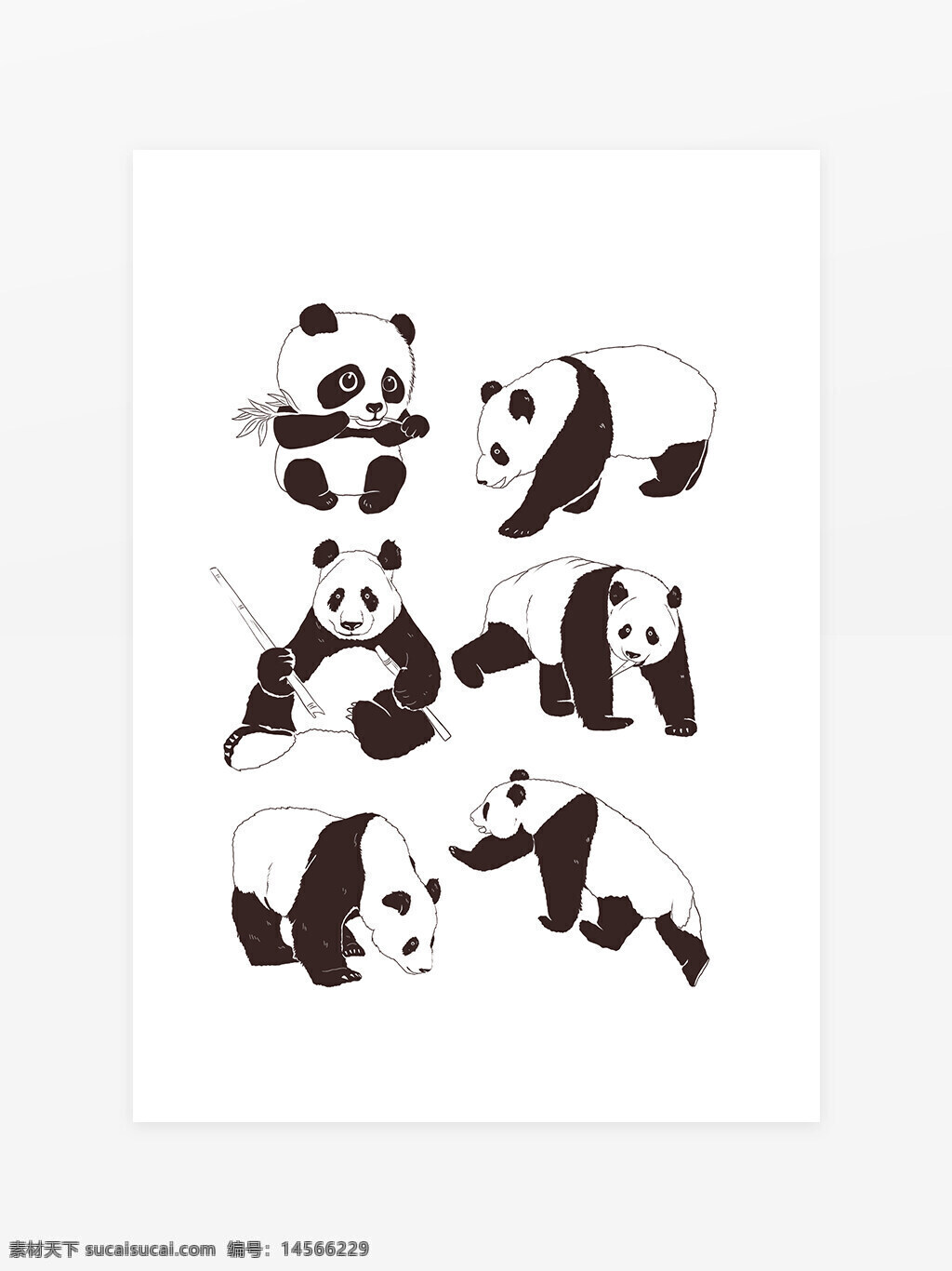 手绘熊猫插画 手绘熊猫 大熊猫 国画熊猫 动物 国宝