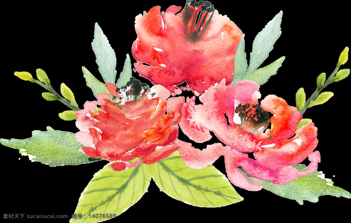 鲜艳 花卉 卡通 透明 水彩 免扣 手绘 透明素材 装饰 设计素材 淘宝素材 海报设计装饰 装饰图案
