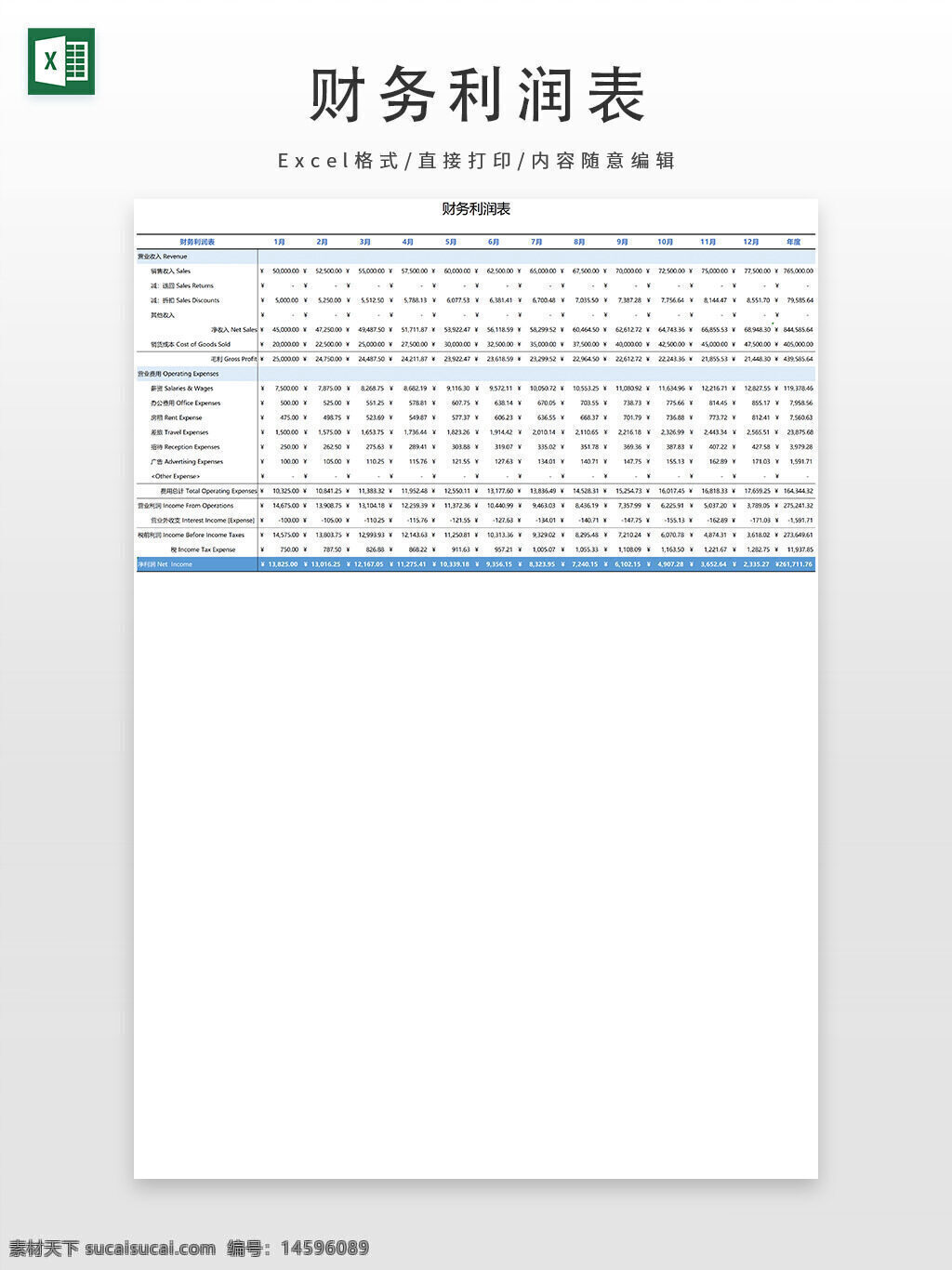 财务报表 利润表 年度报告 月度数据 收入 销售 成本 毛利润 营业费用 工资 租金 折旧费用 旅行费用 调整条目 税前收入 净收入 财务数据 财务分析 会计
