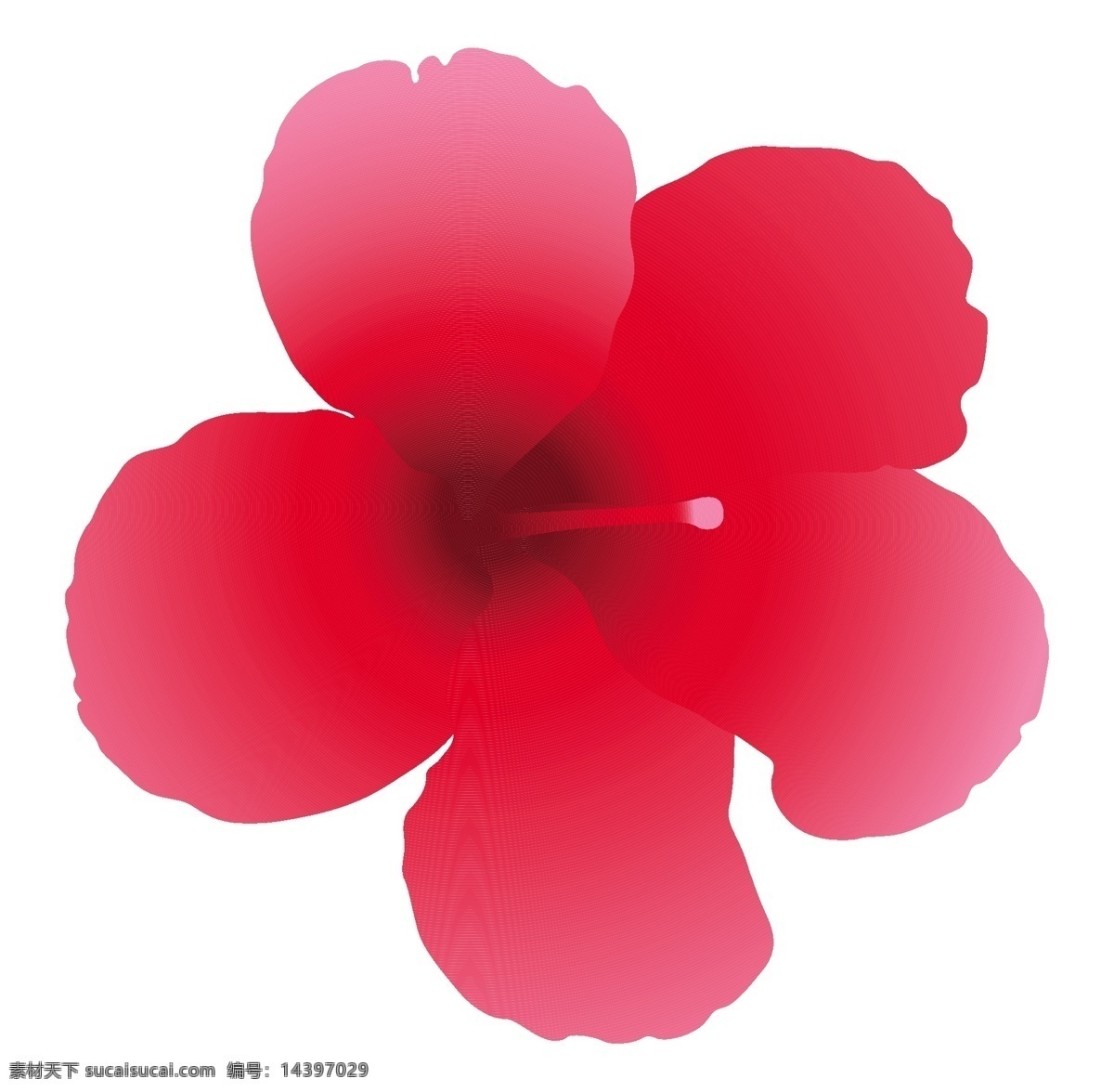 粉 百合花 矢量 粉百合花矢量 矢量圖 其他矢量圖