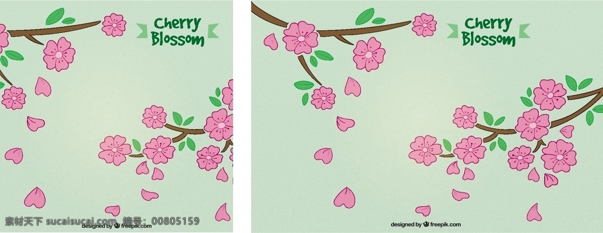 手绘 樱花 背景 花 手 自然 花的背景 手绘背景 春天 植物 花背景 绘图 自然背景 樱桃开花 春天的美丽
