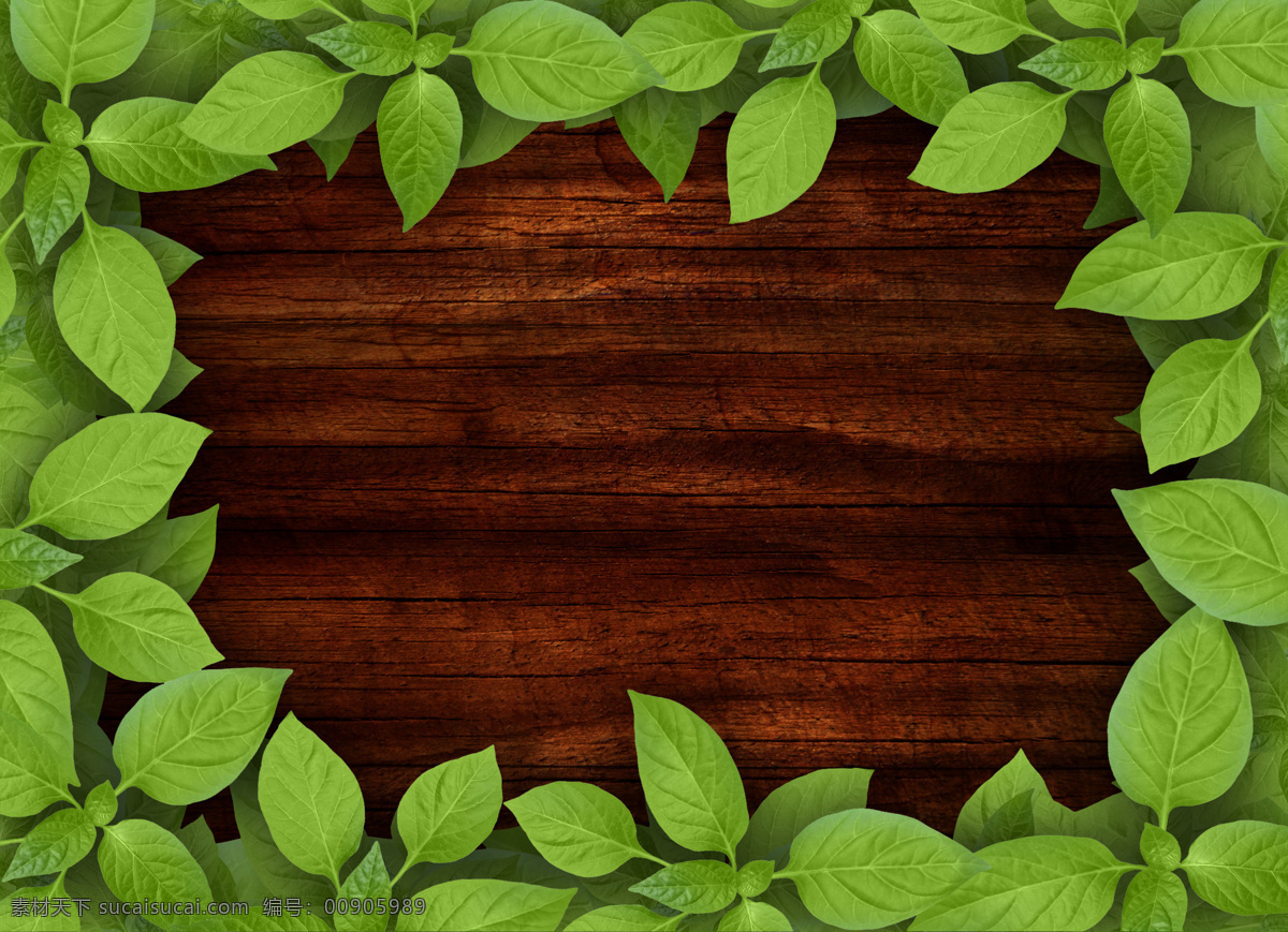 木板 背景 绿叶 边框 背景图片 大自然 绿叶边框 木板背景 木纹