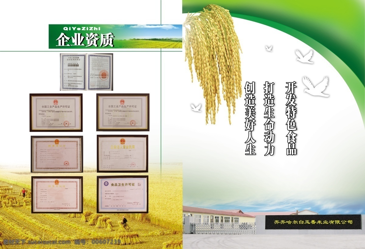 米业宣传册 米业 画册 模板 宣传 水稻 绿色 食品 传单 分层 源文件