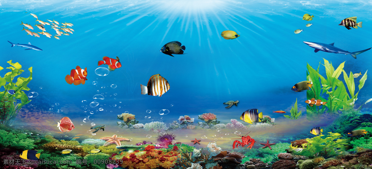 水族 海 蓝色 珊瑚 水草 自然风光 自然景观 各种鱼类 虾类 游来游去 生物世界