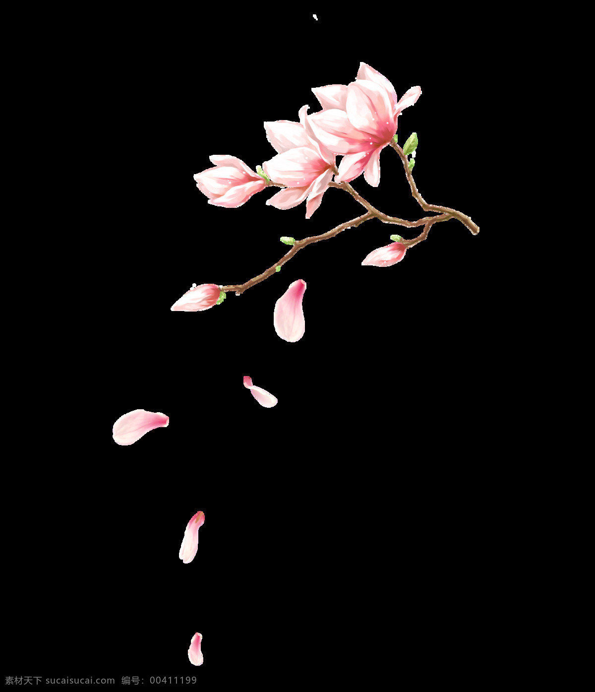 手绘 水粉 花朵 装饰 花瓣 浪漫 粉色
