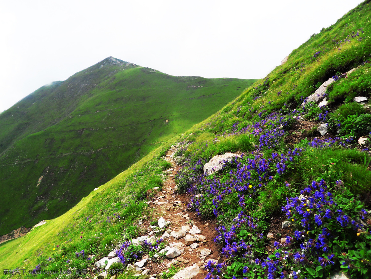 小五台山 保定 保定风光 保定小五台山 保定旅游 大自然 河北风光 河北旅游 河北小五台山 旅游摄影 国内旅游 白色