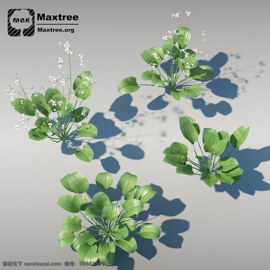 草 草模型 花 花模型 植物 植物模型 园林 景观植物 街头道具模型 3d设计 室外模型 max 灰色