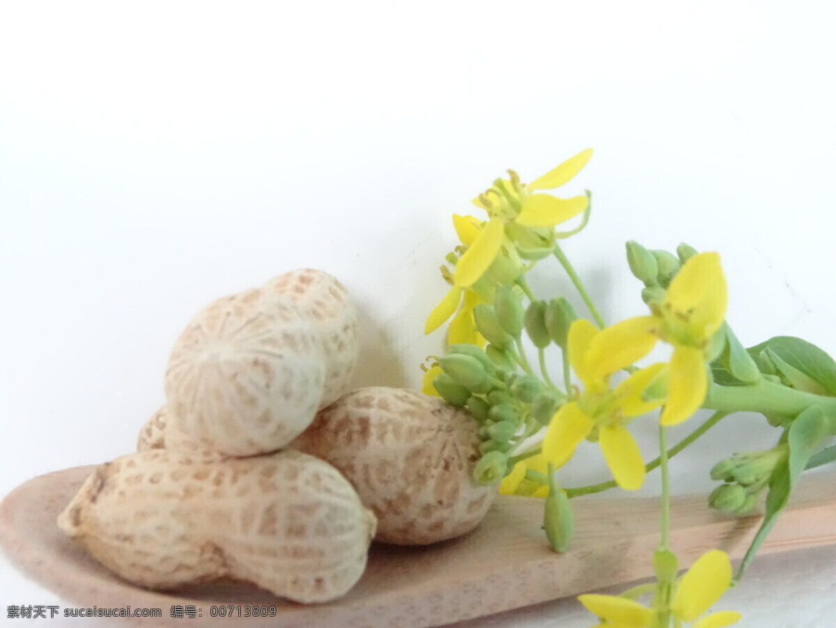 红衣花生 红皮花生 花生 花生仁 花生米 花生豆 五谷食材 农作物 农家特产 绿色食品 下酒菜 五谷杂粮 带壳花生 杂粮 油料 花生壳 连城美食 餐饮美 餐饮美食