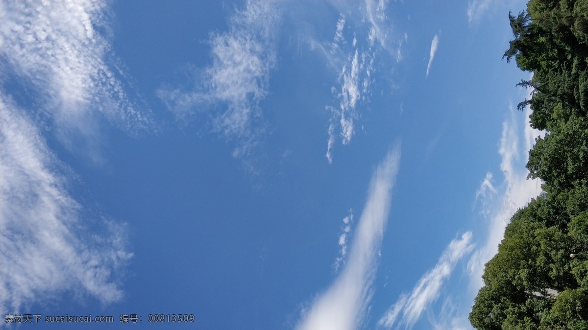 天空 白云 蓝天 树林 晴朗 自然景观 自然风景