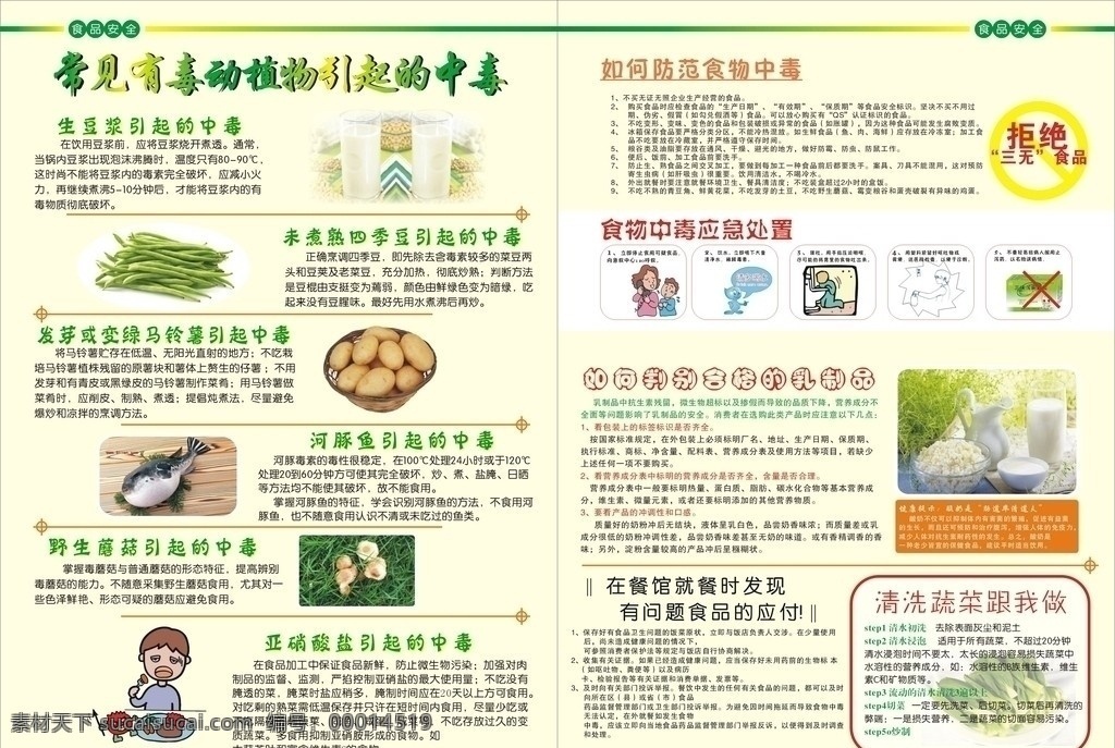 常见食物中毒 食物中毒 应急 处理 食物中毒应急 防范食物中毒 清洗蔬菜 豆浆中毒 四季豆中毒 dm宣传单 矢量