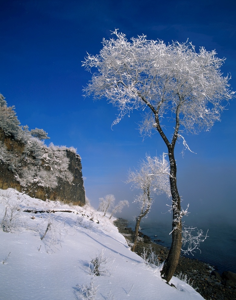 蓝天下的雪景 蓝天的风景 高山 山地 森林 森林高山 高山森林 蓝天 风景 蓝天白云 蓝天风景 白云 白云蓝天 蓝天白云风景 风景图 大图 图 枫叶林 枫叶 蓝天下的景色 素材图片 图片的素材 素材的图片 自然景观 自然风景