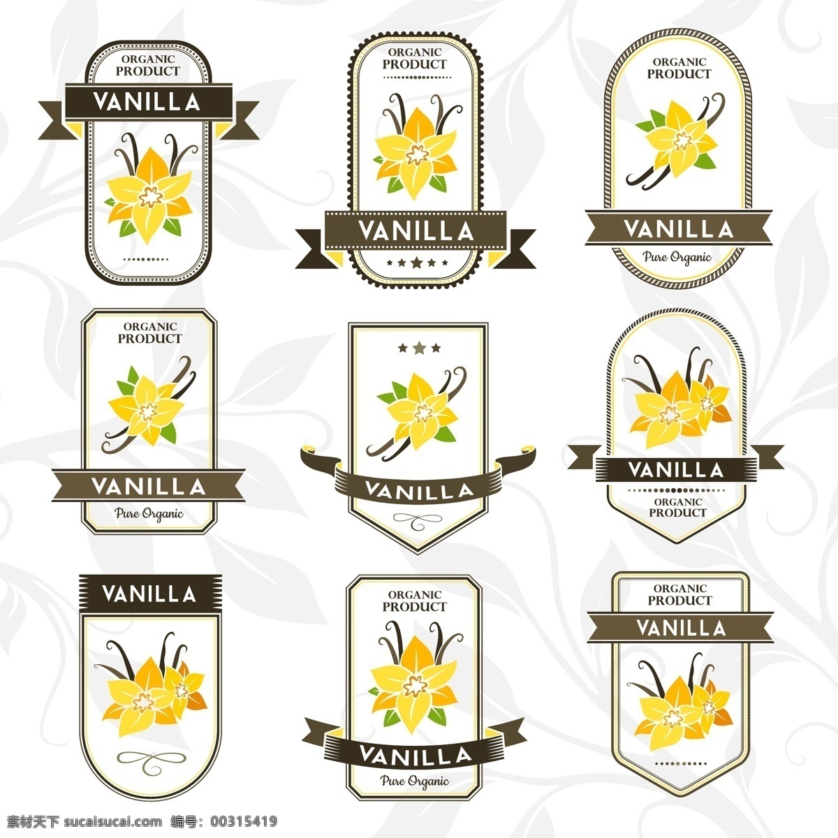 香草 香子兰 香草标签 标签 花标签 植物标签 标志图标 其他图标