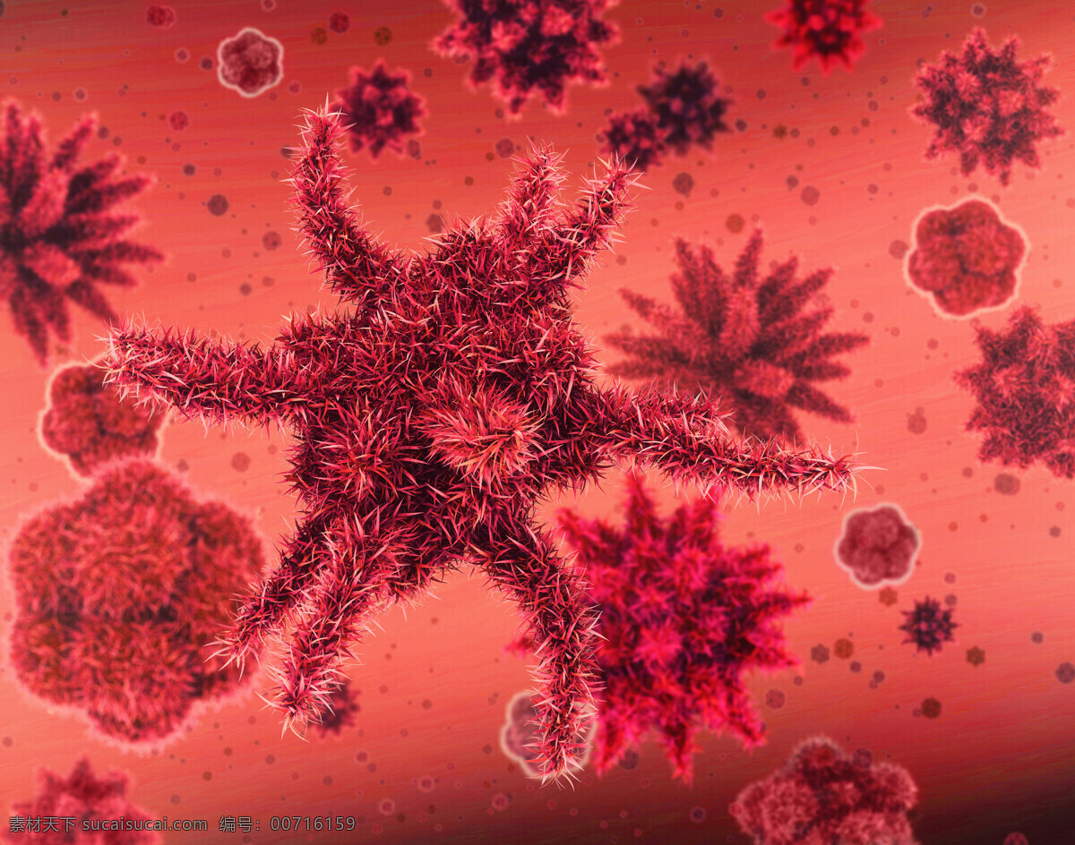 细胞 病菌 图 红细胞 血小板 超级病菌 细菌 身体细胞 生物 细胞图片 现代科技