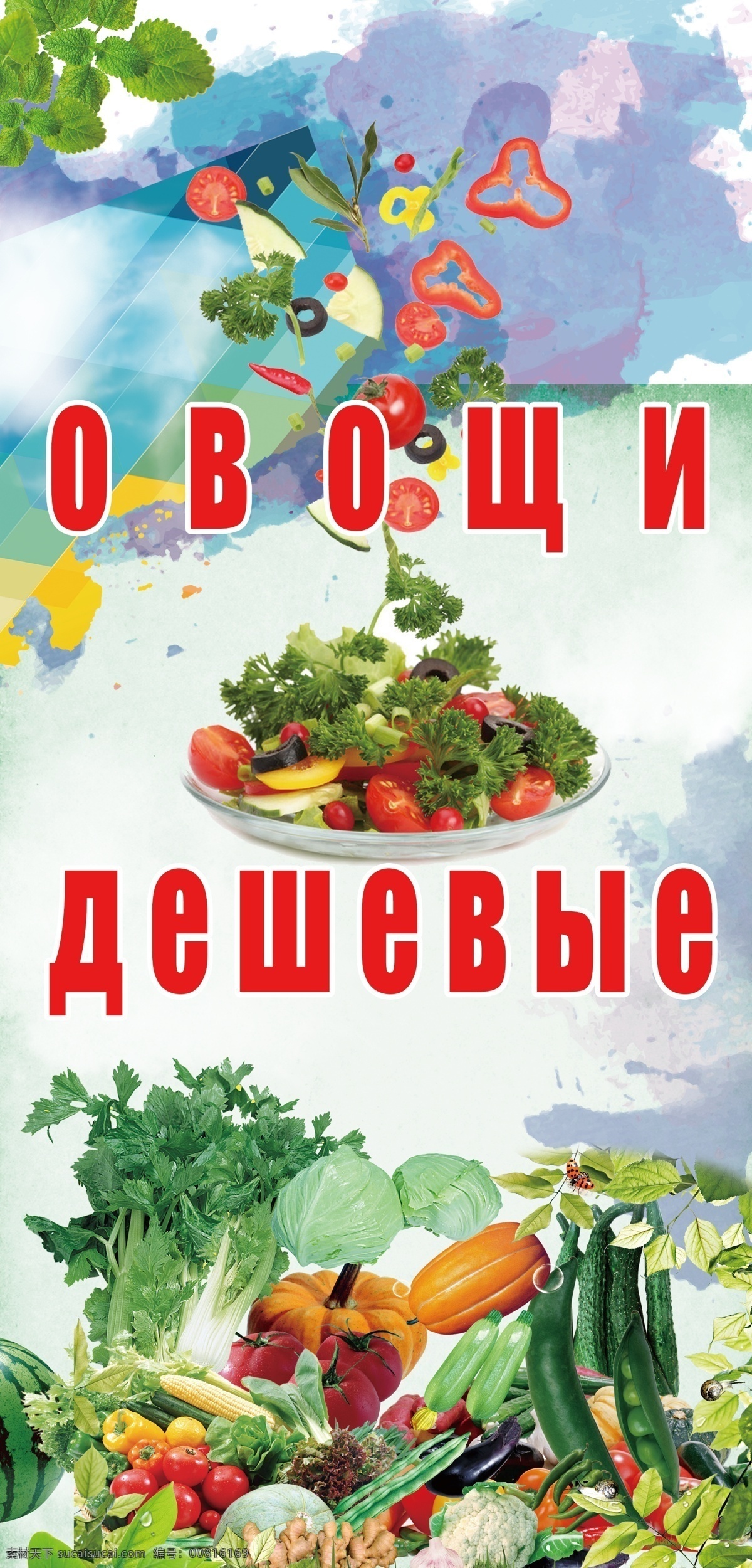 俄文 蔬菜 招牌 牌匾 外国 招牌蔬菜 超市宣传 海报 国外广告设计