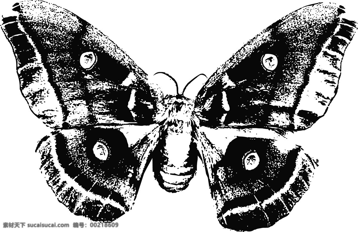 蝴蝶 单色 向量 白色 翅膀 动物 飞 黑色 昆虫 矢量图 生物世界