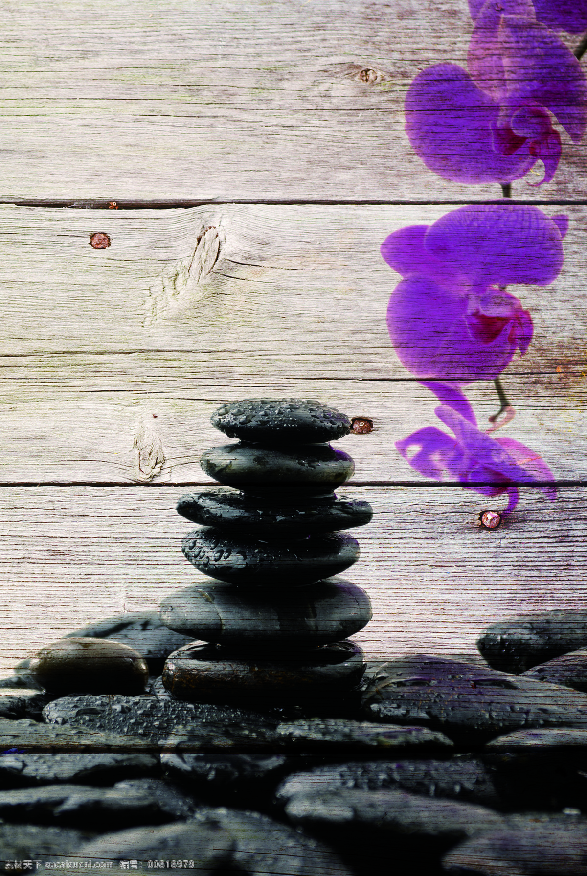 石头上的花 石头 花 木板 紫红 画 木板素材 环境设计 无框画